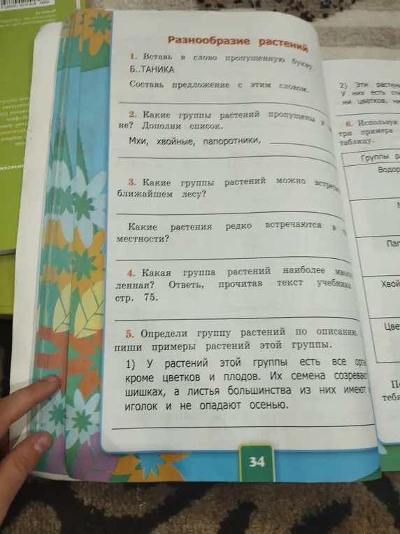 Вставь в слово пропущенную букву, дополни список групп растений, перечисли группы растений, которые можно встретить в ближайшем лесу, определи наиболее многочисленную группу растений и группу растений по описанию.