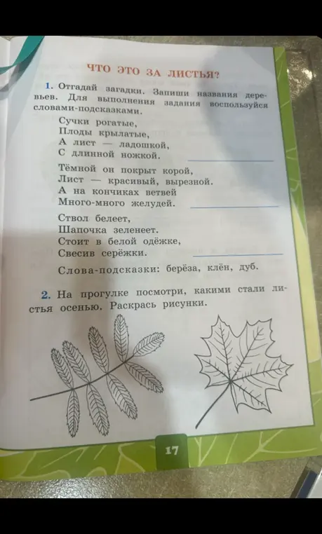 Отгадай загадки и запиши названия деревьев.