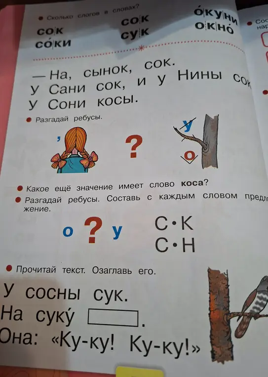 Выполни задания из учебника русского языка: определи количество слогов, разгадай ребусы, придумай предложения и озаглавь текст.