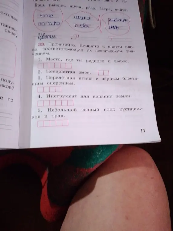 Прочитай и впиши в клетки слова, соответствующие их лексическим значениям.
