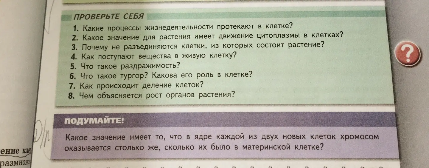 Ответь на вопросы: Какие процессы жизнедеятельности протекают в клетке?