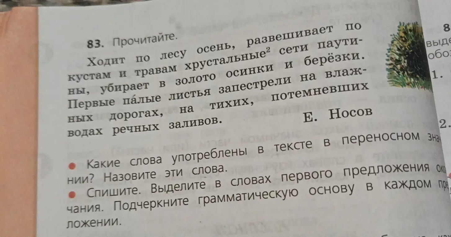 Определи слова, употребленные в тексте в переносном значении и спиши первое предложение, выдели окончания и подчеркни грамматическую основу.