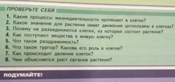 Какие процессы жизнедеятельности протекают в клетке?