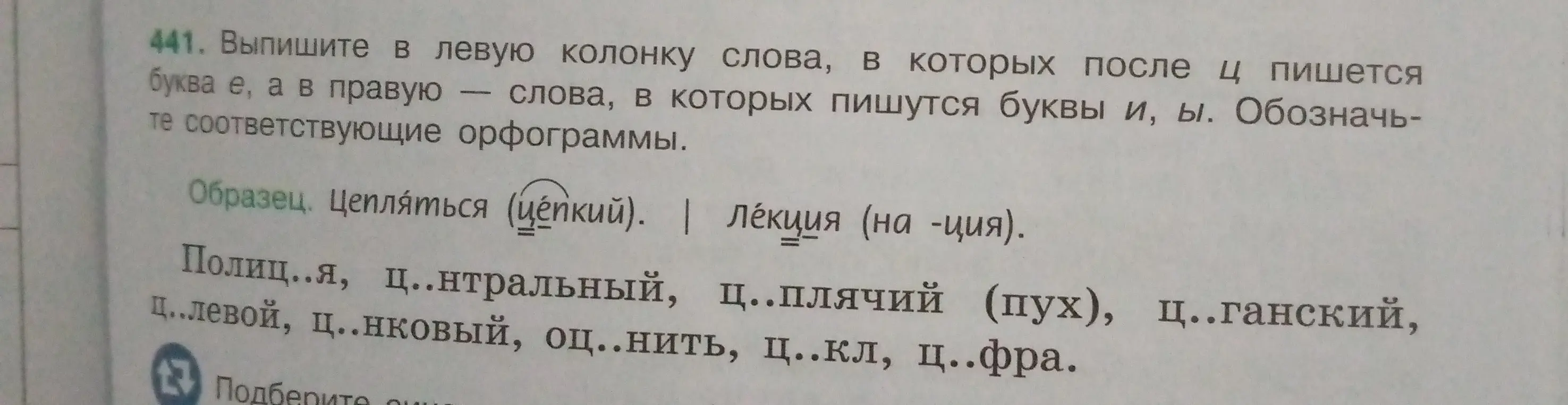 Выпиши в левую колонку слова, в которых после ц пишется буква е, а в правую - слова, в которых пишутся буквы и, ы. Обозначь соответствующие орфограммы.