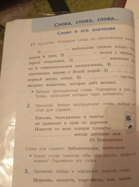 Определи слова по лексическому значению, впиши пропущенное слово и найди лишнее слово.