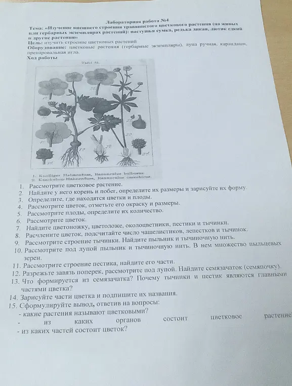 Сформулируй вывод, ответив на вопросы: какие растения называют цветковыми? из каких органов состоит цветковое растение? из каких частей состоит цветок?