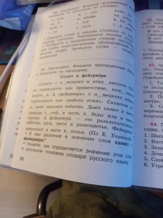 В чём различие в значении слов салют и фейерверк?