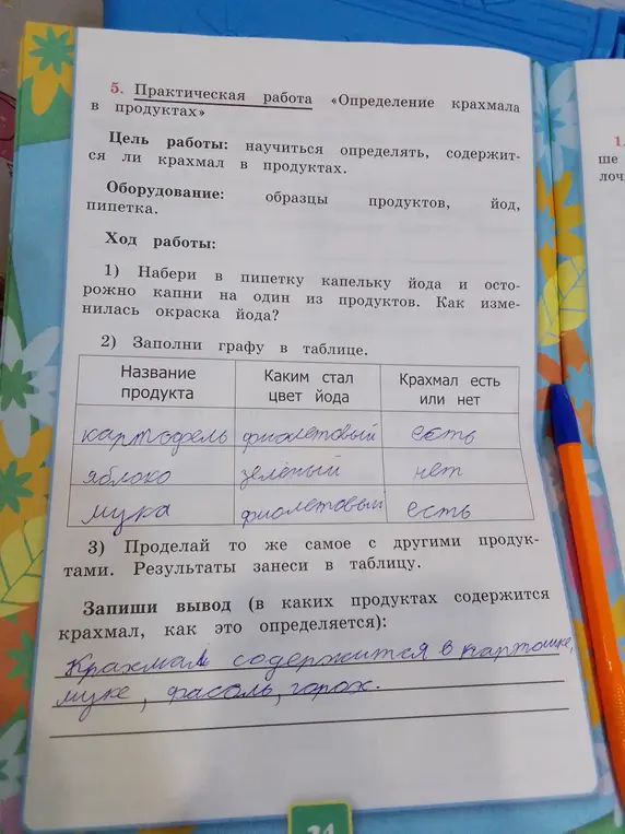 Запиши вывод, в каких продуктах содержится крахмал.