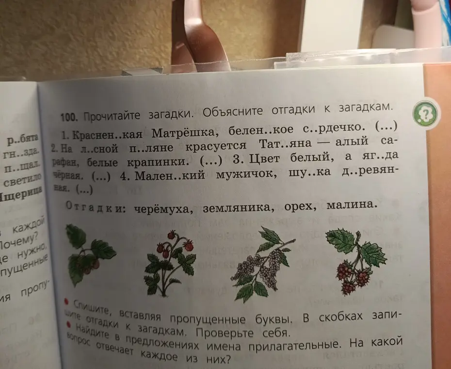 Прочитай загадки и объясни отгадки к загадкам.
