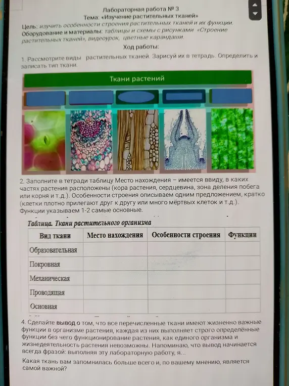 Заполни таблицу "Ткани растительного организма".