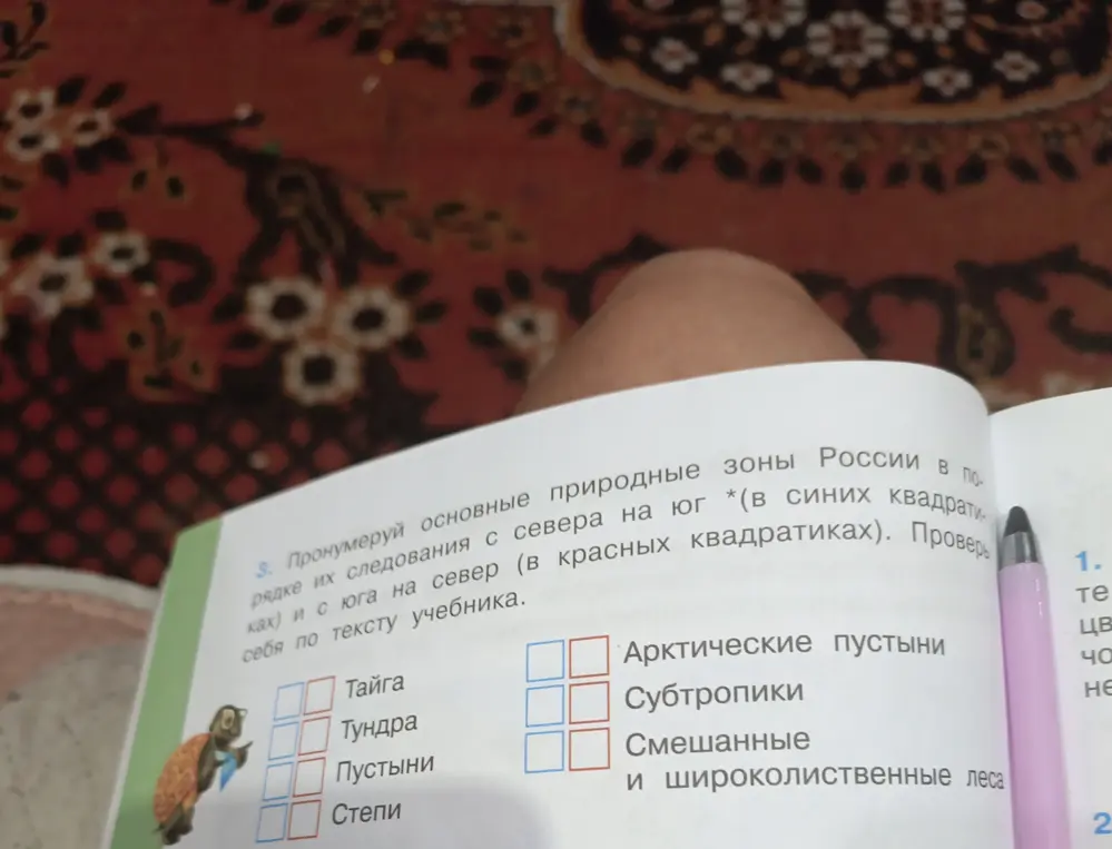 Пронумеруй основные природные зоны России в порядке их следования с севера на юг и с юга на север.