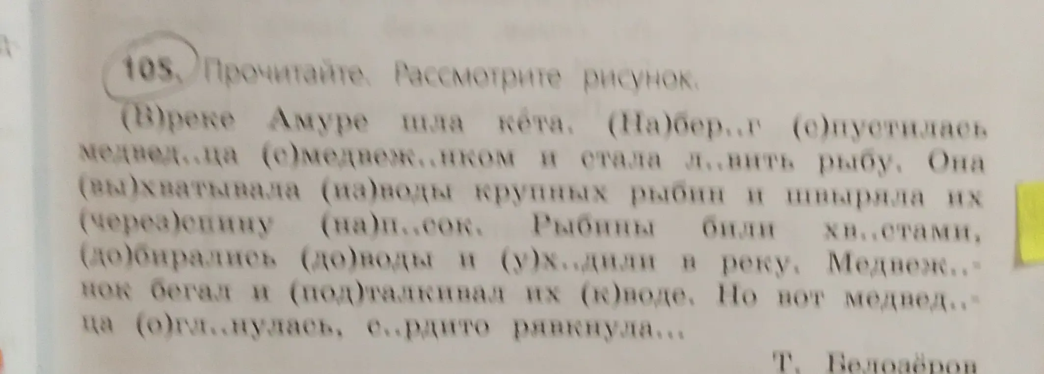 Вставь пропущенные буквы в тексте про реку Амур и медведицу с медвежонком.
