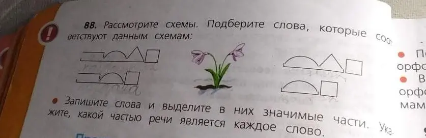 Рассмотри схемы и подбери слова, которые соответствуют данным схемам.