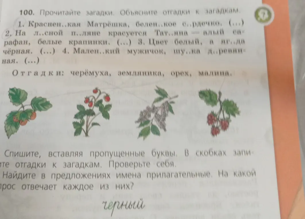 Прочитай загадки и объясни отгадки. Спиши, вставляя пропущенные буквы. Найди в предложениях имена прилагательные.
