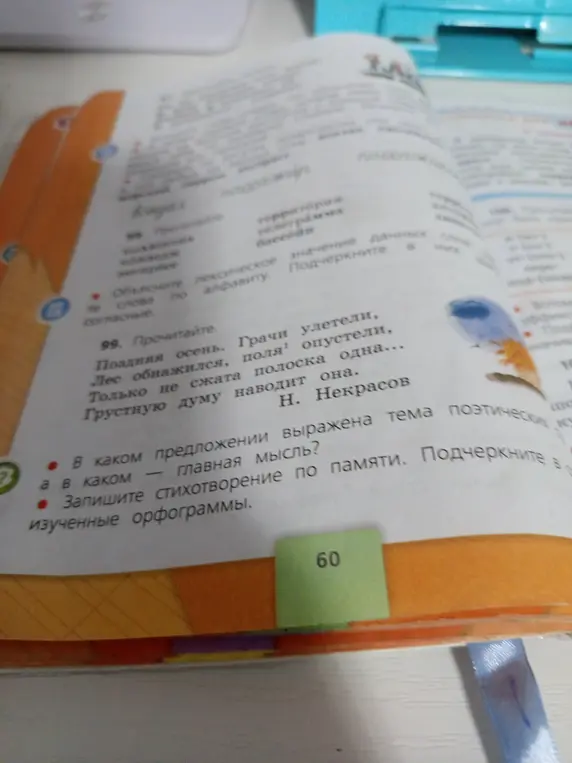 Определи, в каком предложении выражена тема поэтическая, а в каком главная мысль.