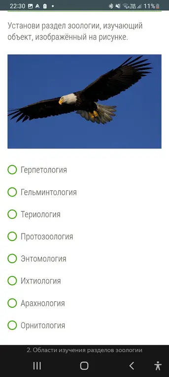 Установи раздел зоологии, изучающий объект, изображённый на рисунке.