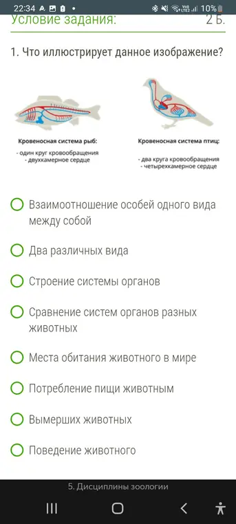 Что иллюстрирует данное изображение?