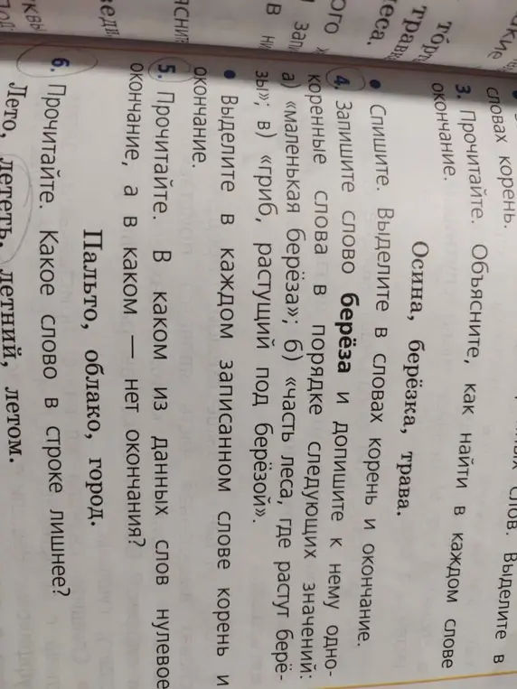 Запиши слово береза и допиши к нему однокоренные слова в порядке следующих значений: «маленькая береза», «часть леса, где растут березы», «гриб, растущий под березой». Прочитай. В каком из данных слов нулевое окончание, а в каком нет окончания? Прочитай. Какое слово в строке лишнее?
