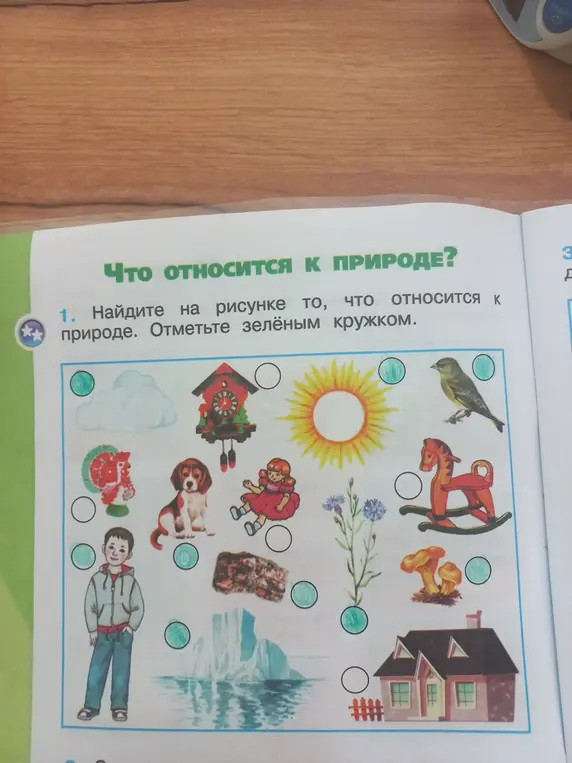 Найди на рисунке то, что относится к природе. Отметь зелёным кружком.