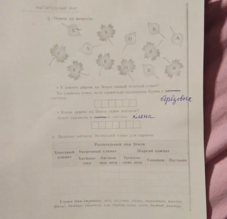 Ответь на вопросы и заполни таблицу про растительный мир Земли, используя слова для справок.
