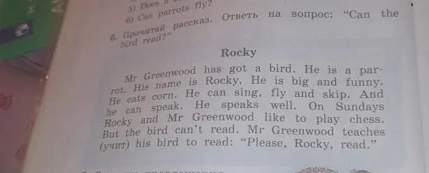 Ответь на вопрос: "Can the bird read?"