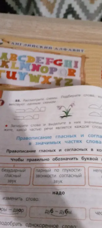 Подбери слова, которые соответствуют данным схемам.
