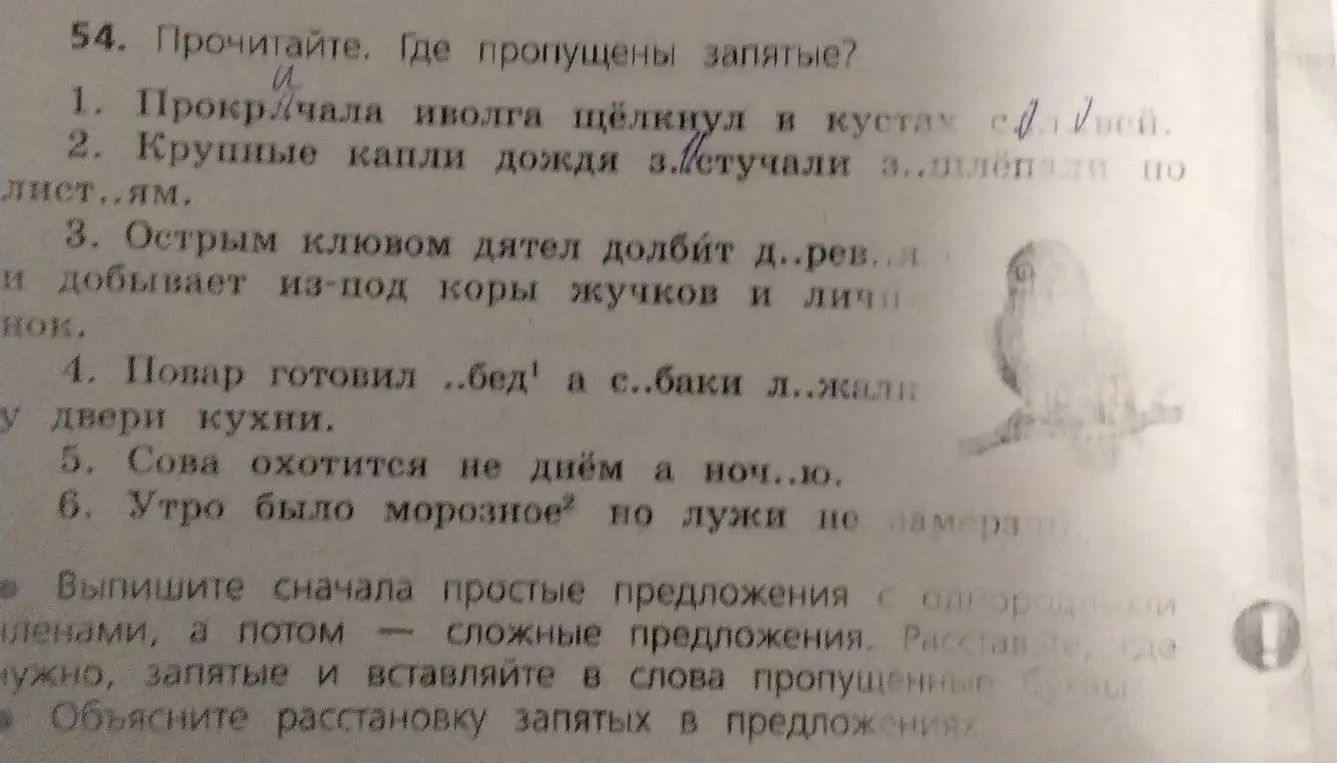 Прочитай текст и укажи, где пропущены запятые.