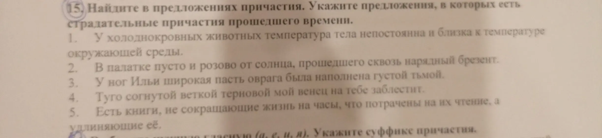 Найди в предложениях причастия и укажи предложения, в которых есть страдательные причастия прошедшего времени.