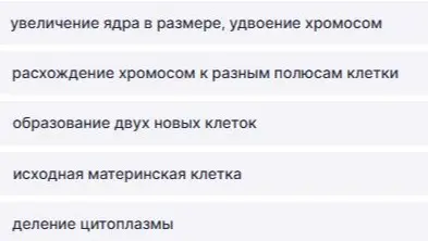 Установи правильную последовательность деления клетки