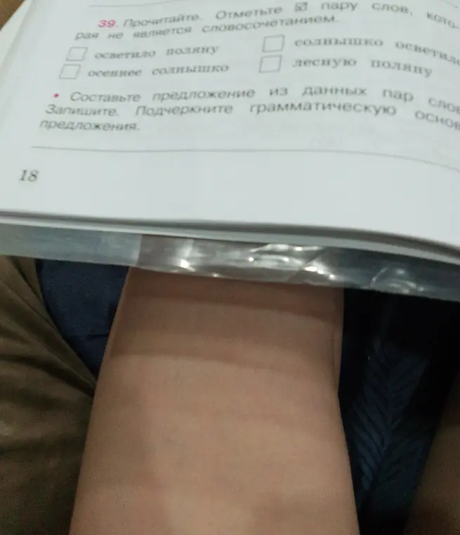Отметь пару слов, которая не является словосочетанием. Составь предложение из данных пар слов. Подчеркни грамматическую основу предложения.