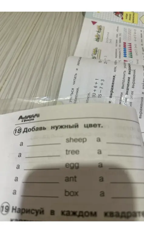 Добавь нужный цвет к словам: sheep, tree, egg, ant, box.