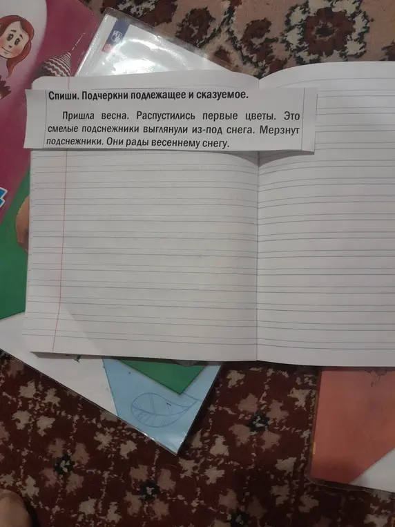 Спиши текст и подчеркни подлежащее и сказуемое.