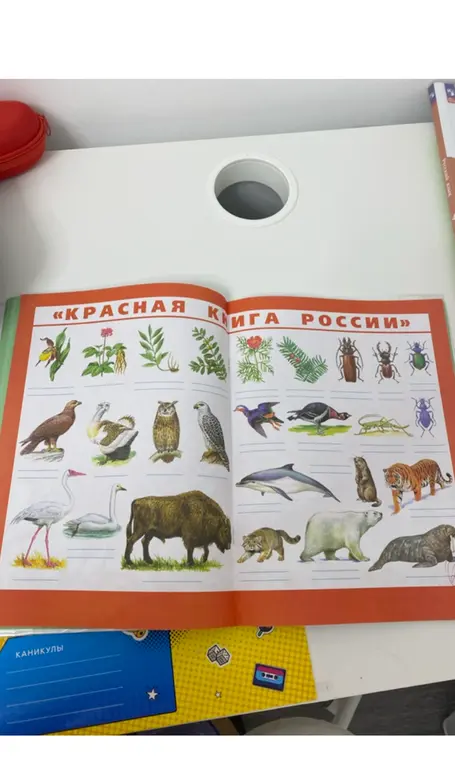 Расскажи про содержимое книги на изображении.