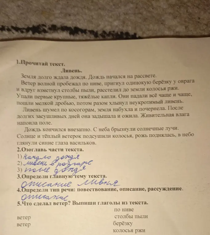 Что сделал ветер? Выпиши глаголы из текста.