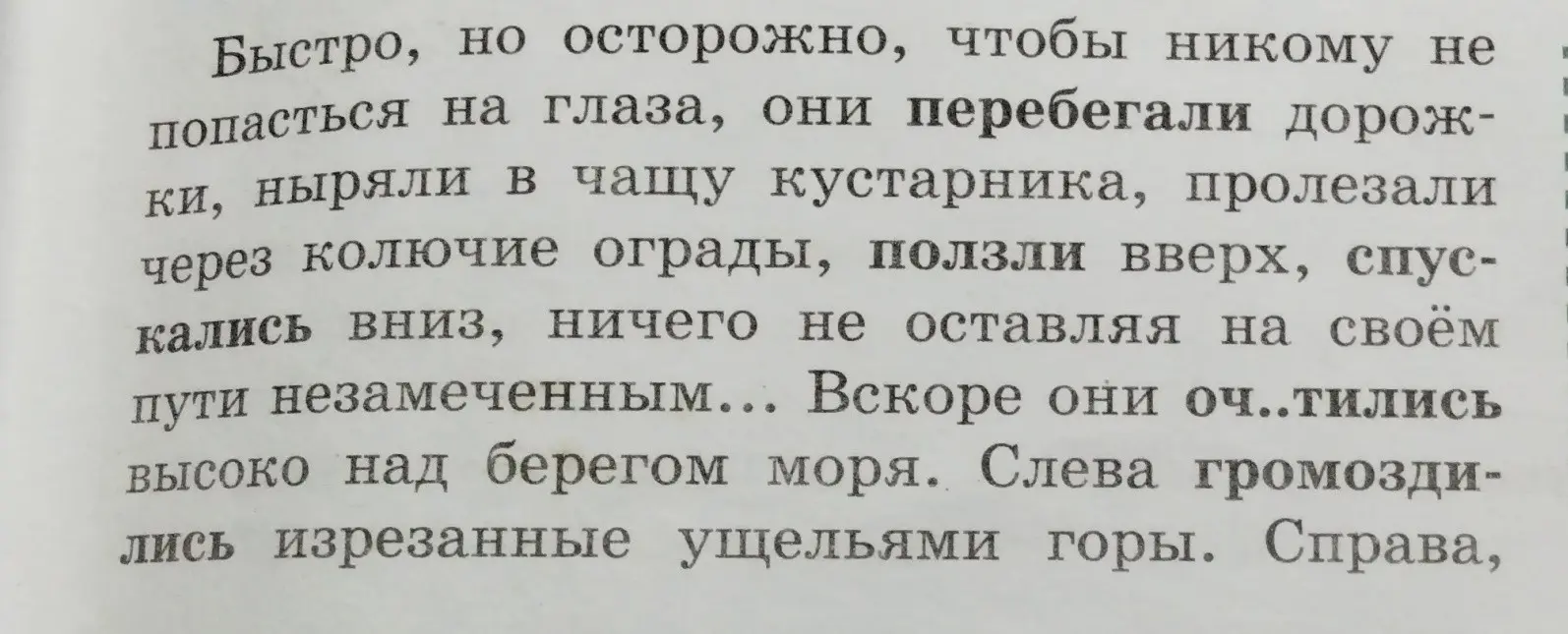 Распредели текст на абзацы