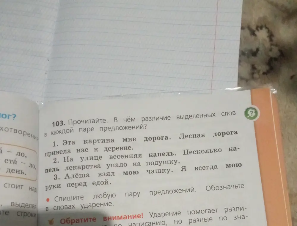 Объясни, в чём различие выделенных слов в каждой паре предложений.