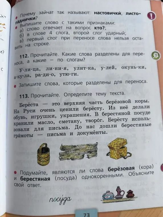Ответь на вопросы про зайчат и слова с разными признаками, укажи слова разделенные для переноса, определи тему текста про бересту и однокоренные слова.
