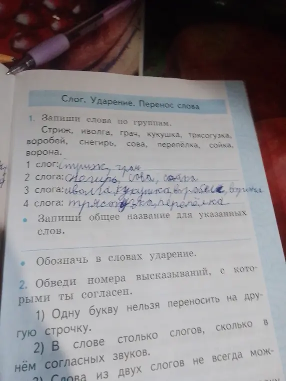 Запиши слова по группам, общее название для указанных слов и обозначь в словах ударение. Обведи номера высказываний, с которыми ты согласен.