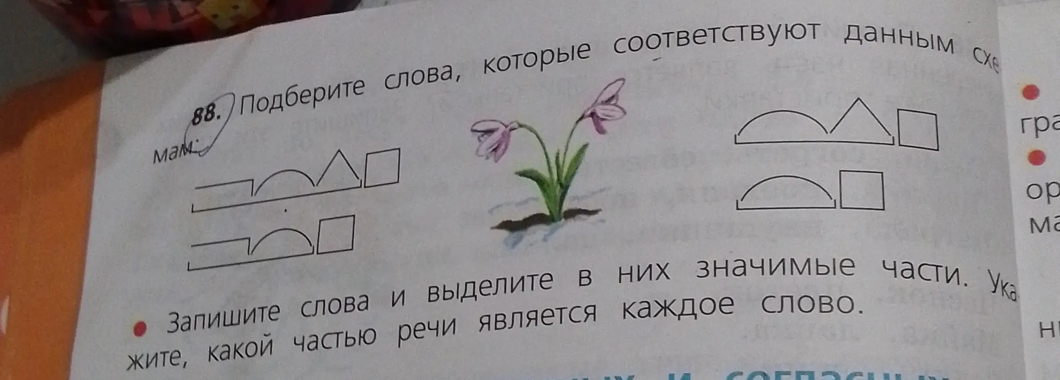 Подбери слова, которые соответствуют данным схемам, запиши слова и выдели в них значимые части, укажи, какой частью речи является каждое слово.