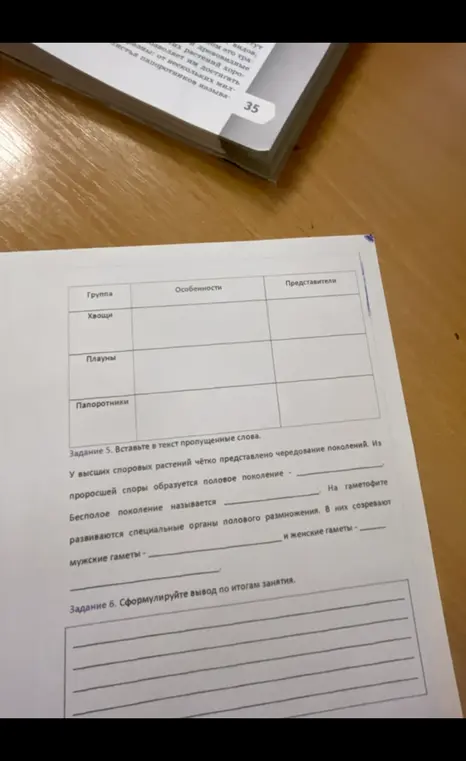 Вставь в текст пропущенные слова.