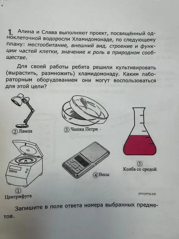 Выбери номера лабораторного оборудования, с помощью которого можно вырастить и размножить хламидомонаду.