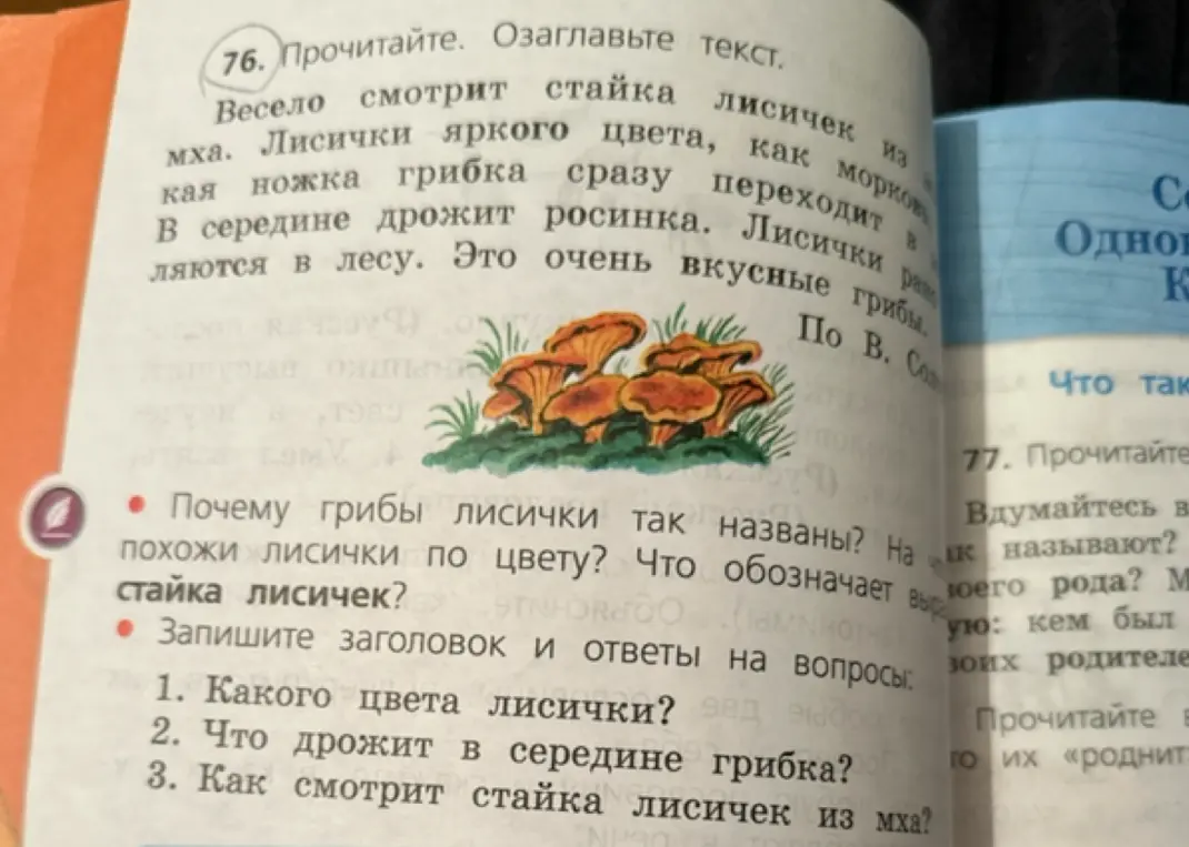 Озаглавь текст и ответь на вопросы: 1. Какого цвета лисички? 2. Что дрожит в середине грибка? 3. Как смотрит стайка лисичек из мха?