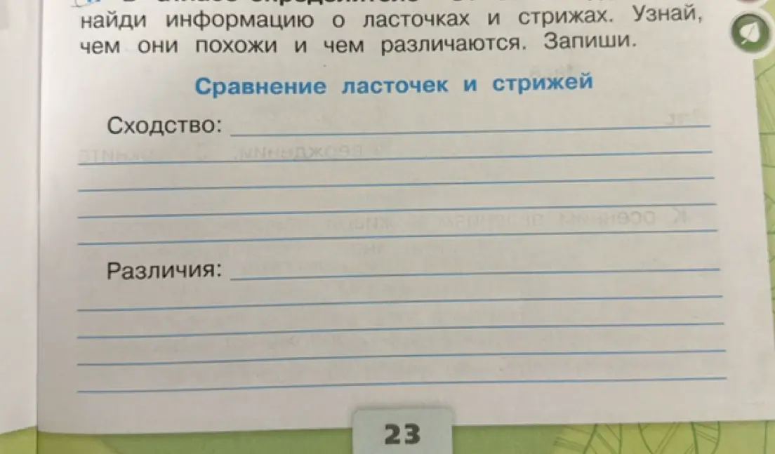 Найди информацию о ласточках и стрижах, узнай, чем они похожи и чем различаются, запиши.