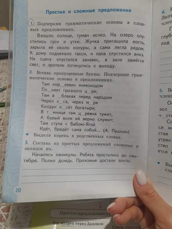Подчеркни грамматические основы в сложных предложениях.