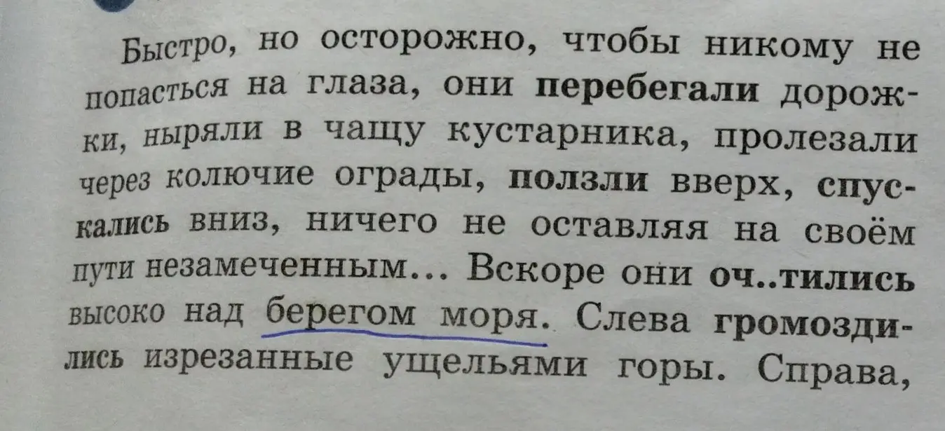 Распредели текст на абзацы