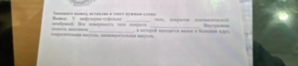 Заполни вывод, вставляя в текст нужные слова.