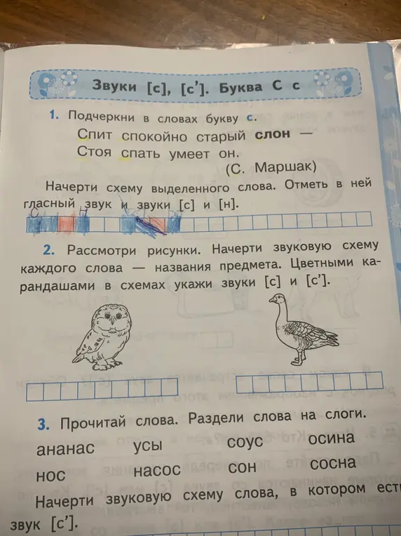 Подчеркни в словах букву с, начерти схему выделенного слова, отметь в ней гласный звук и звуки [с] и [н].