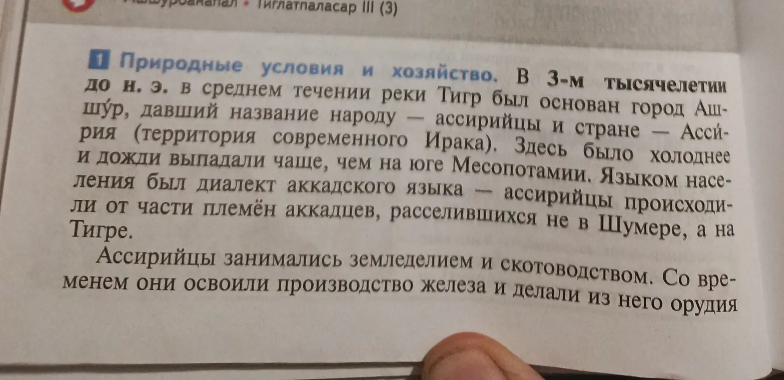 Расскажи про природные условия и хозяйство Ассирии.