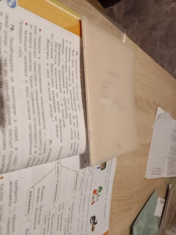 Понаблюдай за листопадом в парке, в саду, на своей улице и напиши по своим наблюдениям.