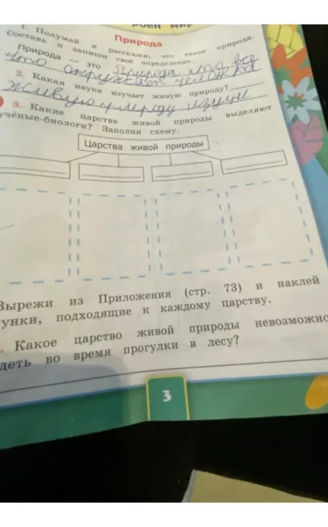 Ответь на вопросы о природе и заполни схему царств живой природы.